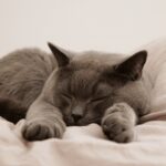 保健師が自分の睡眠改善に取り組んでみた!