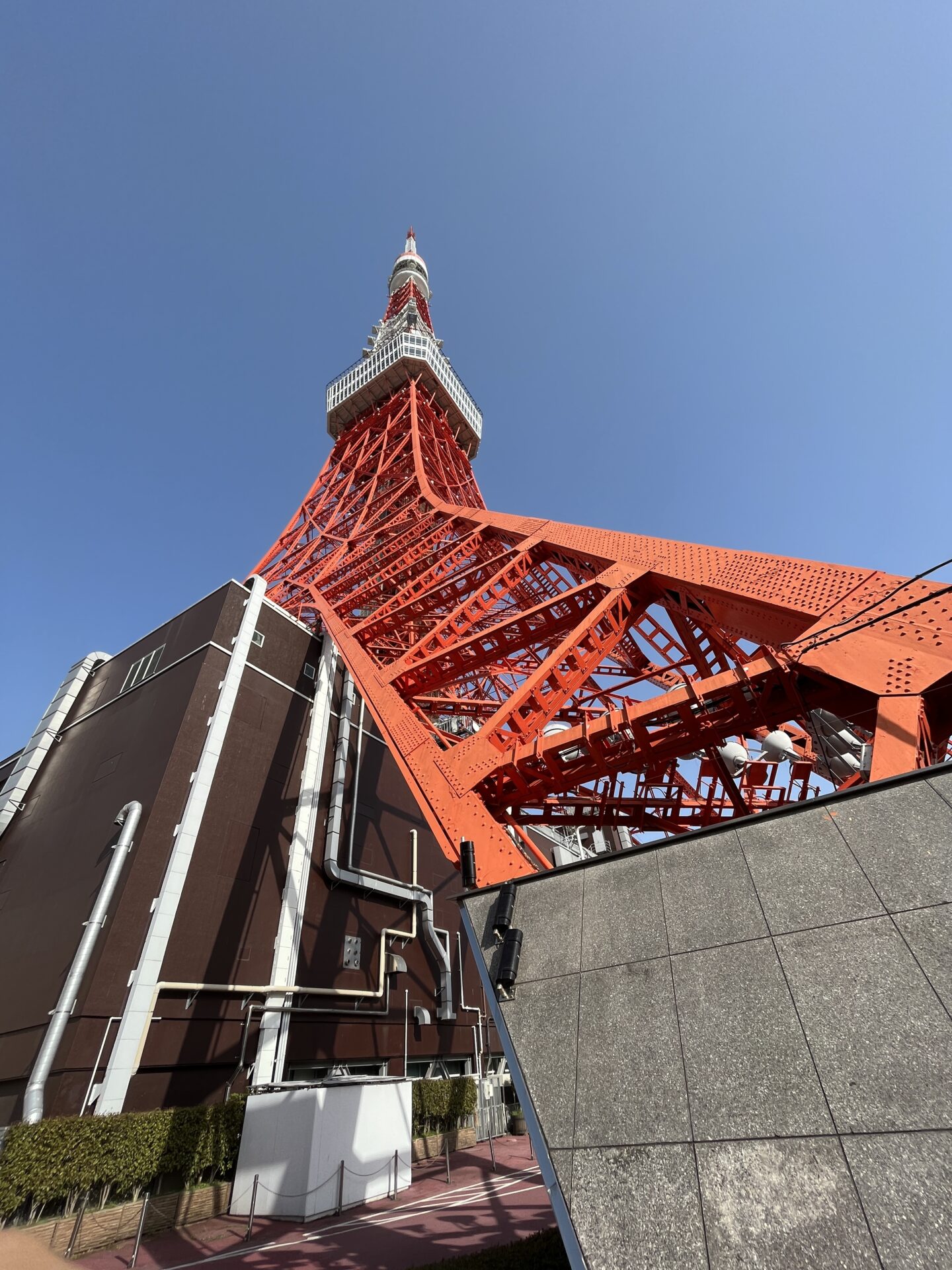 東京タワーに登ってみた。階段もあるのね。東京駅から無料水素バスも出てました。